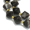 Natural Silver Obsidian Beads Strands G-I376-C13-01-3
