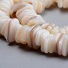 Natural Freshwater Shell Beads Strands SHEL-D078-01B-3