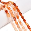 Dyed Natural Agate Beads Strands G-T141-15A-01-2