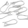 SHEGRACE Brass Earring Hooks XGR0003P-42P-1