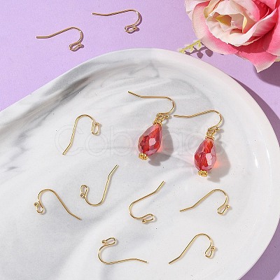 SHEGRACE Brass Earring Hooks XGR0138G-154G-1