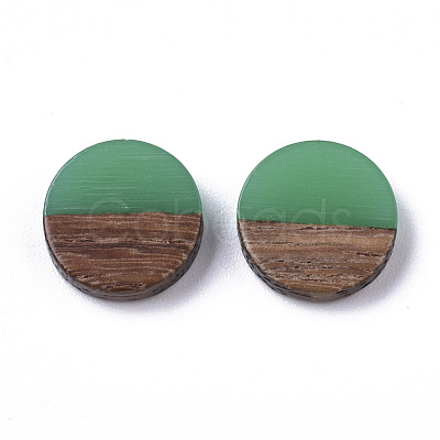 Resin & Wood Cabochons RESI-S358-70-H15-1