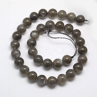 Natural Black Moonstone Beads Strands G-J157-10mm-05-1