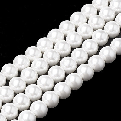 Shell Pearl Beads Strands BSHE-S301-10mm-04-1