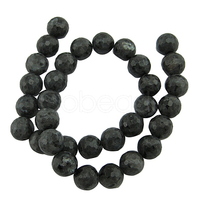 Natural Larvikite Beads Strands X-G868-102-1