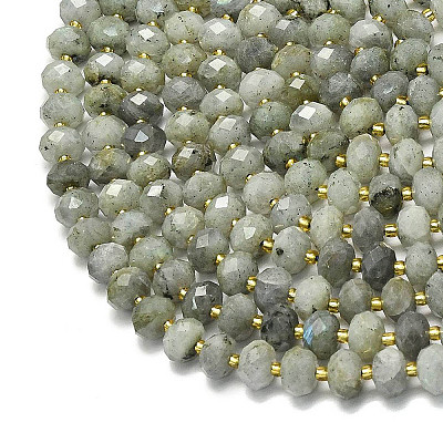 Natural Labradorite Beads Strands G-P573-A55-01-1