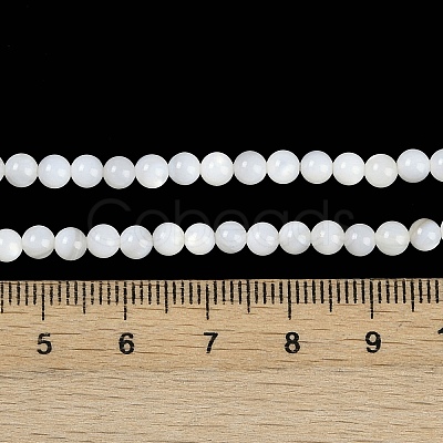 Natural Cultured Freshwater Shell Beads Strands BSHE-H109-03B-1
