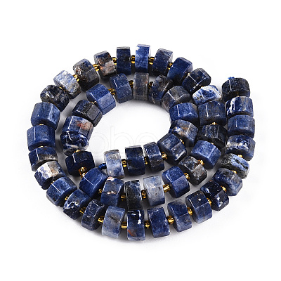 Natural Sodalite Beads Strands G-T140-26-1