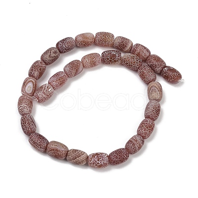 Natural Weathered Agate Beads Strands G-NH0047-B02-01-1