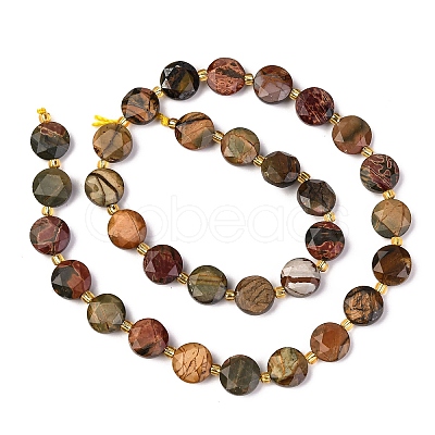 Natural Picasso Jasper/Polychrome Jasper Beads Strands G-C116-A118-01-1