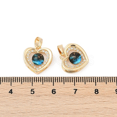 Brass Micro Pave Cubic Zirconia Pendants X-KK-R213-03G-1