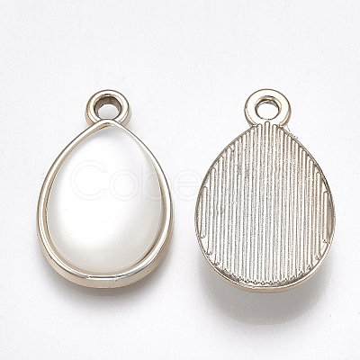 UV Plating Acrylic Pendants LS-OACR-T005-68KC-1