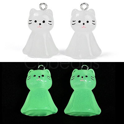 Luminous Resin Pendants RESI-R460-01A-1