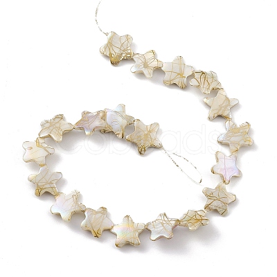 Drawbench Style Natural Freshwater Shell Beads Strands BSHE-E028-04-1