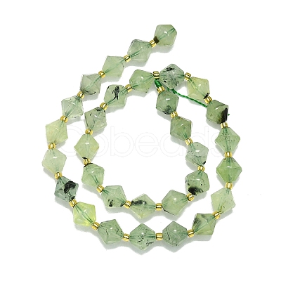 Natural Prehnite Beads Strand G-I376-C02-01-1