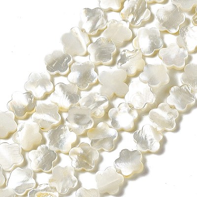 Natural White Shell Beads Strands SHEL-F003-07-1