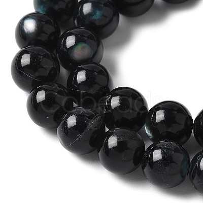 Natural Black Lip Shell Beads Strands SSHEL-C013-01C-1