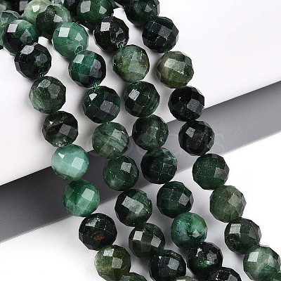 Natural Fuchsite Beads Strands G-S345-8mm-33-1