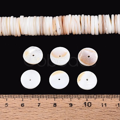 Natural Freshwater Shell Beads Strands SHEL-N037-03B-01-1