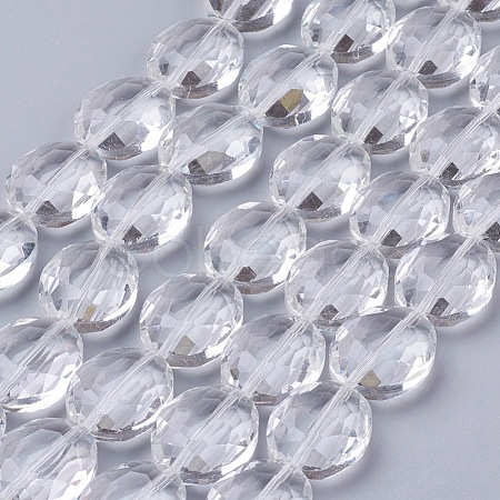 Glass Bead Strands X-GLAA-S003-20x11mm-14-1