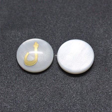 Shell Cabochons SSHEL-E568-A05-1