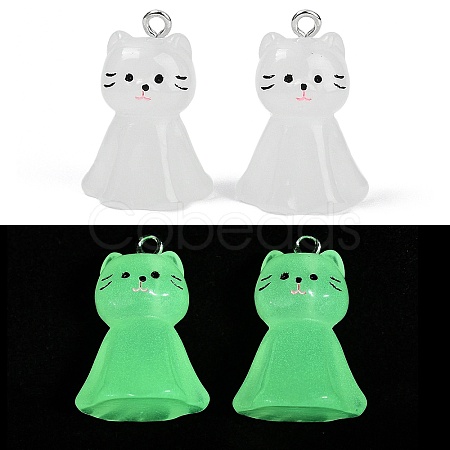 Luminous Resin Pendants RESI-R460-01A-1
