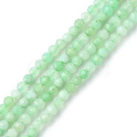 Natural Chrysoprase Beads Strands G-F748-X01-01A-1