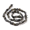 Natural Larvikite Beads Strands G-A208-08-3