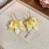 Iron Acrylic Dangle Stud Earrings FS-WG23F93-04-1