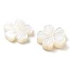 Natural White Shell Carved Beads SSHEL-Z002-02A-2