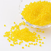 8/0 Frosted Round Glass Seed Beads X-SEED-A008-3mm-M10-1