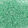 12/0 Glass Seed Beads X-SEED-A015-2mm-2218-2