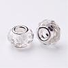 Handmade Glass European Beads GPDL25Y-1-2