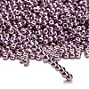 TOHO 6/0 Round Beads X-SEED-TR06-PF0554-2