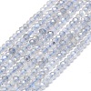 Natural Labradorite Beads Strands G-G106-A17-01-1