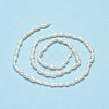 Natural Cultured Freshwater Pearl Beads Strands PEAR-J006-05A-3