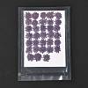 Pressed Dried Flowers DIY-K032-58D-2