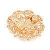 12Pcs Exquistie Rhinestone Brooch JEWB-G047-01KCG-2