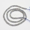 Natural Labradorite Round Bead Strands G-M263-A-03-2