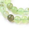 Natural Prehnite Beads Strands G-I250-01D-3