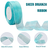 1 Rolls Sheer Organza Ribbon SRIB-CY0001-22B-06-3