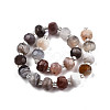 Natural Botswana Agate Beads Strands G-N327-08N-2