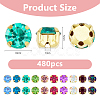 480pcs Glass Sew on Rhinestone FIND-HS0001-62B-2