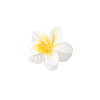 Flower Shape Plastic Claw Hair Clips PW-WG43056-08-1