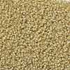 MIYUKI Round Rocailles Beads X-SEED-G008-RR0578-4