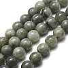 Natural Labradorite Bead Strands X-G-P256-01-4mm-1