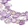 Natural Amethyst Beads Strands G-M408-E01-4