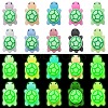 10Pcs 10 Colors Luminous Silicone Beads SIL-CJ0003-08-1