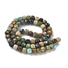 Natural Turquoise Beads Strands G-L651-D02-6x6mm-3