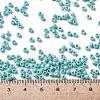 TOHO Round Seed Beads SEED-JPTR08-0413F-4